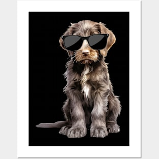 German Shorthaired Pointer Puppy Wearing Sunglasses Posters and Art